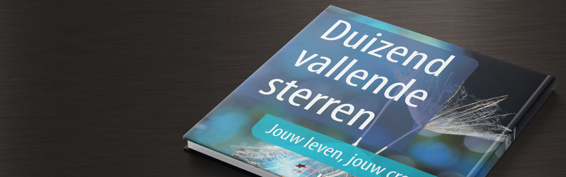 Duizend vallende sterren: jouw leven, jouw creatie