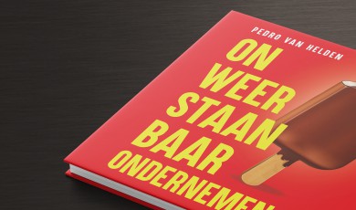 Onweerstaanbaar ondernemen, de drie succesversnellers waarmee je gegarandeerd meer klanten verleidt