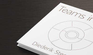 Teams in flow: negen elementen van topteams